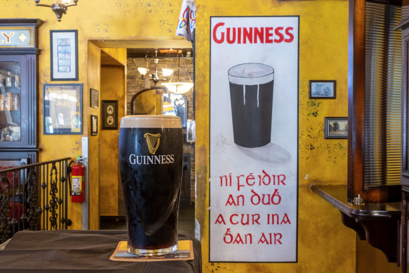 Guinness at molly maguires